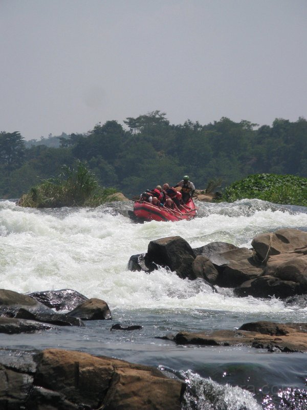 674 662 IMG_2790.jpg
